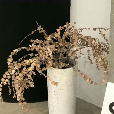 Furry兽设设计技巧福瑞交流群